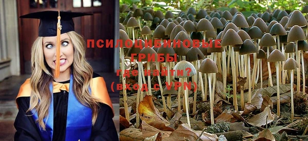 ECSTASY Алексин