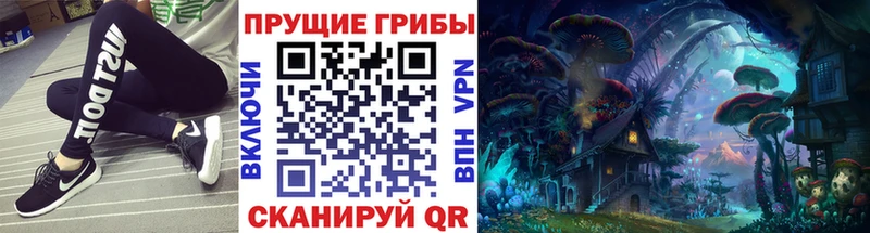 Галлюциногенные грибы Psilocybine cubensis  дарнет шоп  Кашин 
