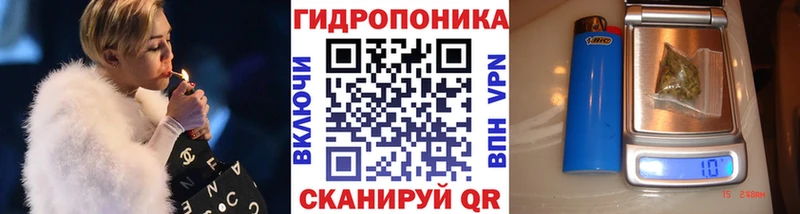 Конопля AK-47 darknet телеграм Кашин